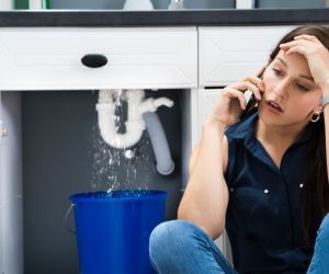 About Plumbers Pros Taneyville, MO